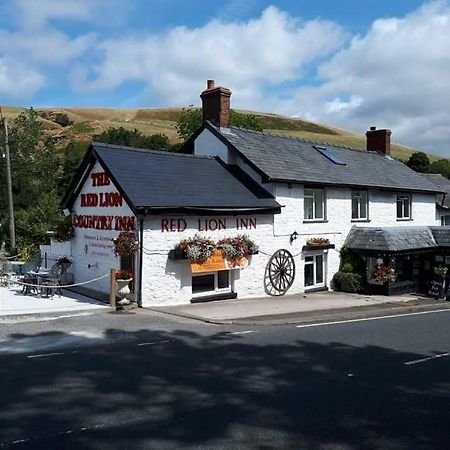 Llew Coch B&B Llanfihangel-nant-Melan Exterior foto